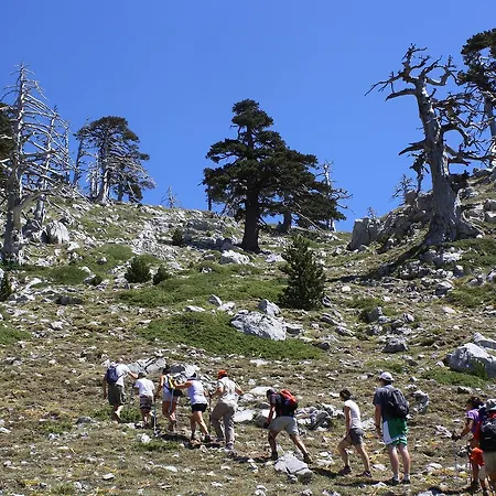 Il Borgo Ospitale - Diffuso Hotel Rotonda