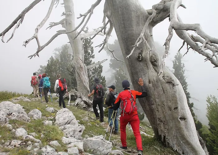 Hotel Il Borgo Ospitale - Diffuso Rotonda