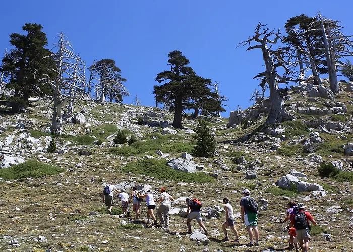 Il Borgo Ospitale - Diffuso Hotel Rotonda